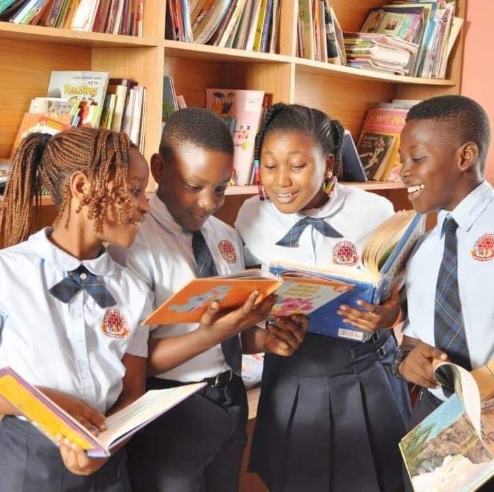 Government Institutions